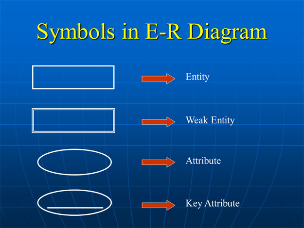 Database Management System